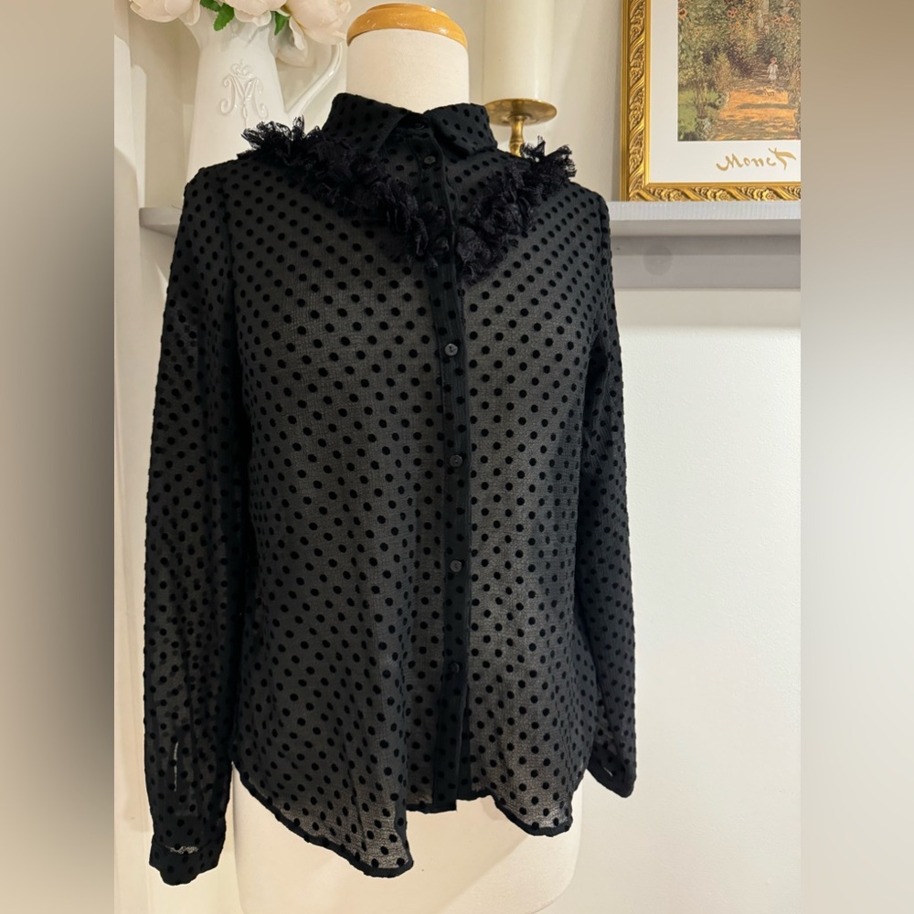 Stunning Black Polka Dot Blouse with Lace - Zara ( Small )